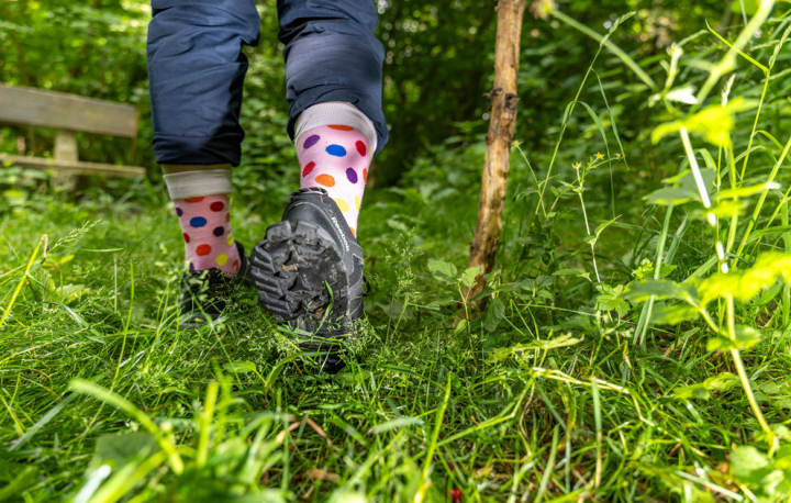 Wanderung entlang der Bankrottmeile